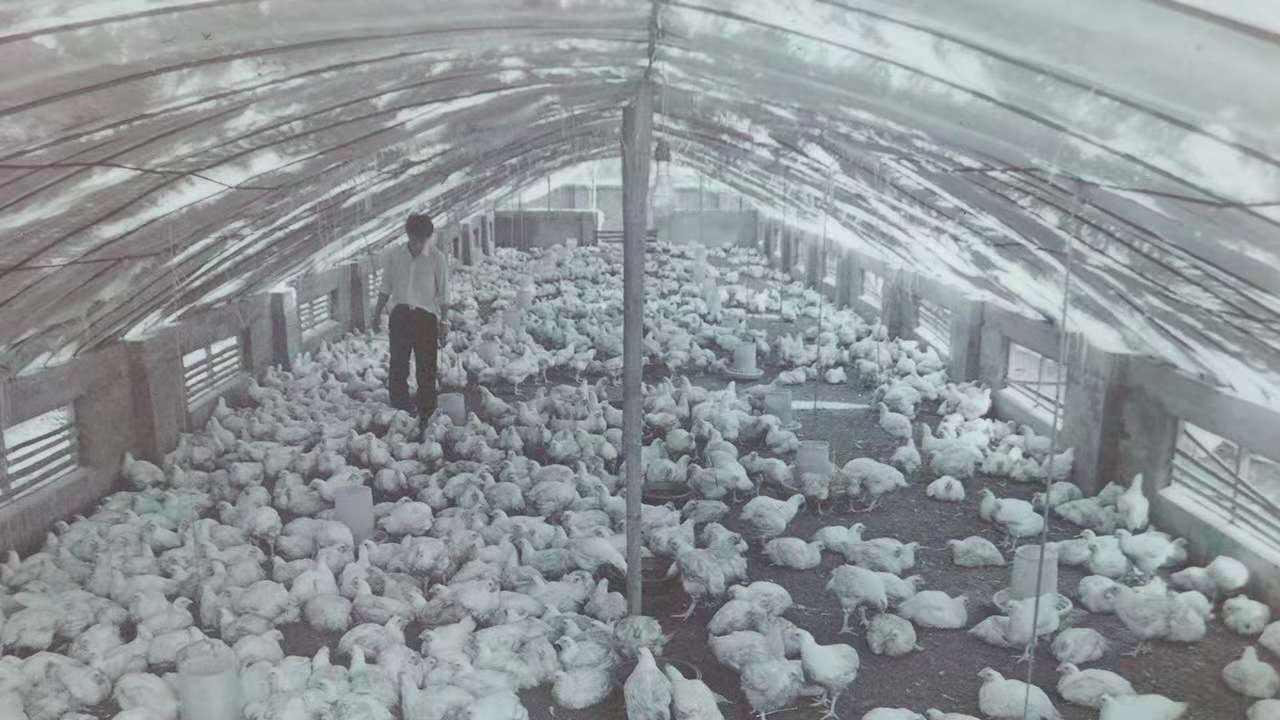 亿万先生MR(中国)首页官网登录