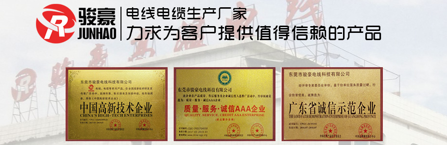 1-1P411113K0431 97国际电线荣誉证书展示